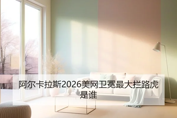 a-er-ka-la-si-mei-wang-wei-mian-zui-da-lan-lu-hu-shi-shui-3-392.jpg